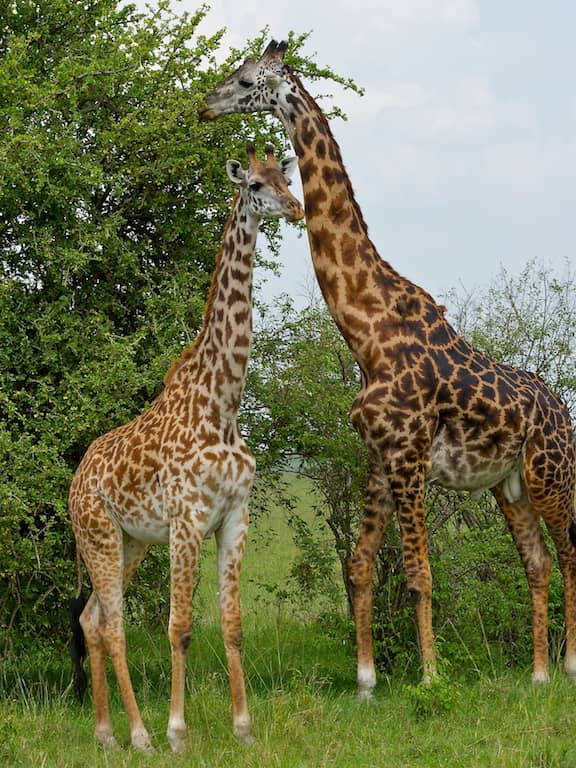 Jarksen tour and travel Agecy Tours gallery